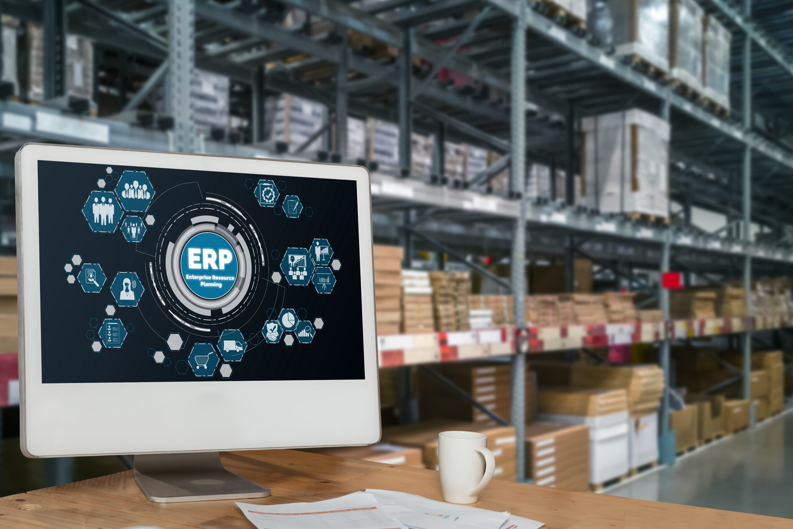 Custom ERP Software